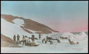 Image of Dogs, Sledges, and Men